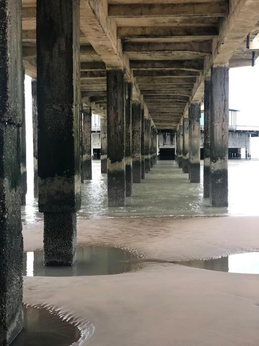 Charmant Zeehuys 100M Van Zee Dichtbij Brugge Blankenberge Exteriör bild